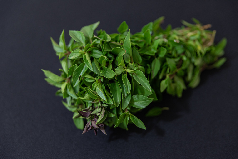 โหระพา (Thai Basil) - Image 4